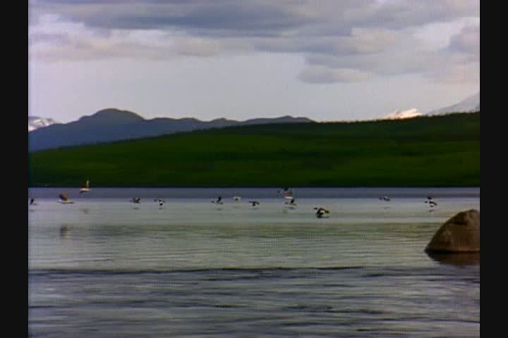 Lake