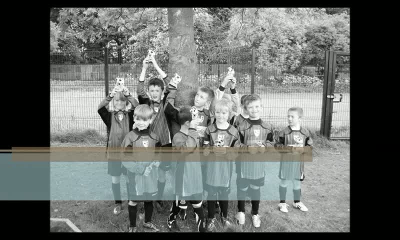 Grainger Park Magpies